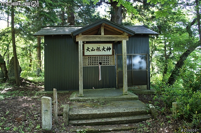NEX-5 開箱了