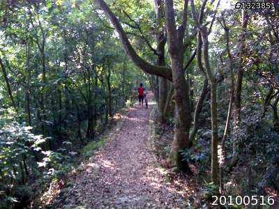下一站，139（20110319補上二輪木屋後方已鋪上柏油的好漢坡、四面佛寺內陡坡與挑水古道新路線照片）