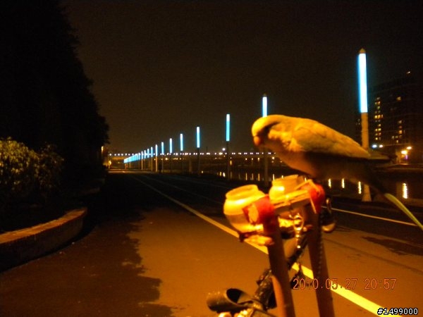 【分享】一位老人單車環島記