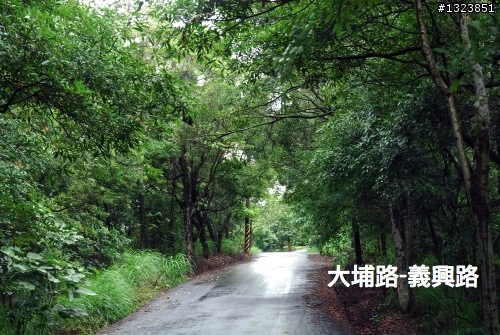下一站，139（20110319補上二輪木屋後方已鋪上柏油的好漢坡、四面佛寺內陡坡與挑水古道新路線照片）
