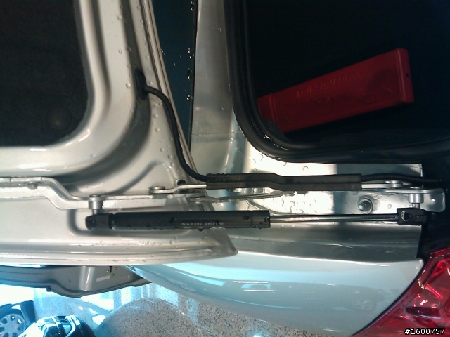 分享apola頂級版