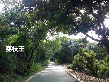 下一站，139（20110319補上二輪木屋後方已鋪上柏油的好漢坡、四面佛寺內陡坡與挑水古道新路線照片）