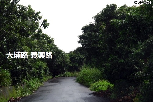 下一站，139（20110319補上二輪木屋後方已鋪上柏油的好漢坡、四面佛寺內陡坡與挑水古道新路線照片）