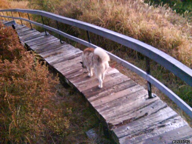 2010/01/21合歡山上讀期末考