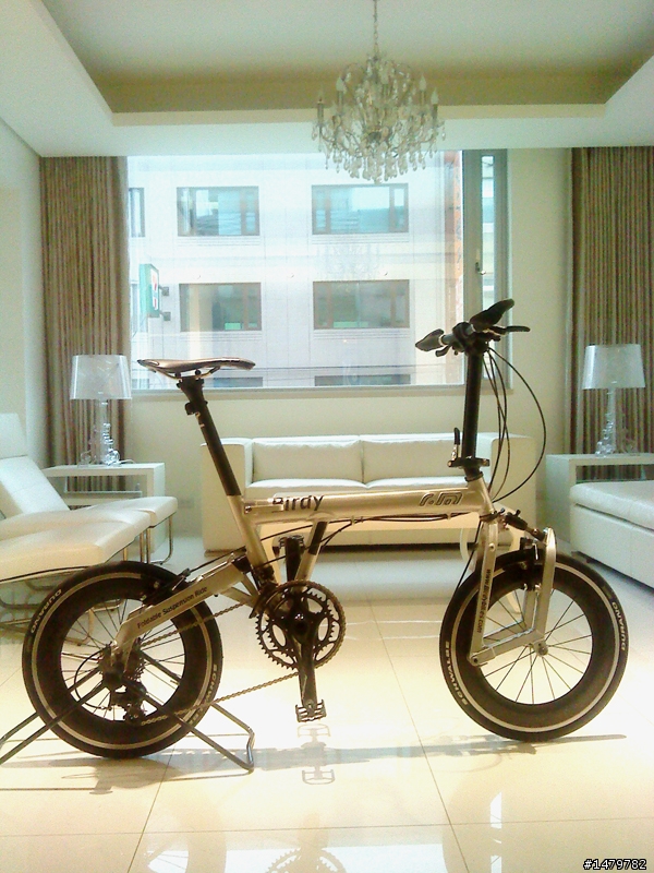 BIRDY終極鳥---逆練易筋經頂關功力(黑級浮屠一間戰紋)