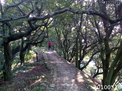 下一站，139（20110319補上二輪木屋後方已鋪上柏油的好漢坡、四面佛寺內陡坡與挑水古道新路線照片）