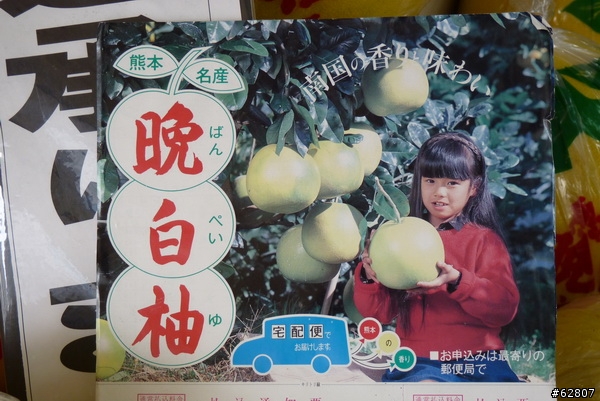 <開箱> 瑞士來的電工刀-WENGERR NewRanger 73