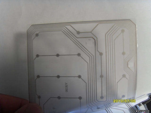 心血來潮~~~黑腹狼蛛  拆了