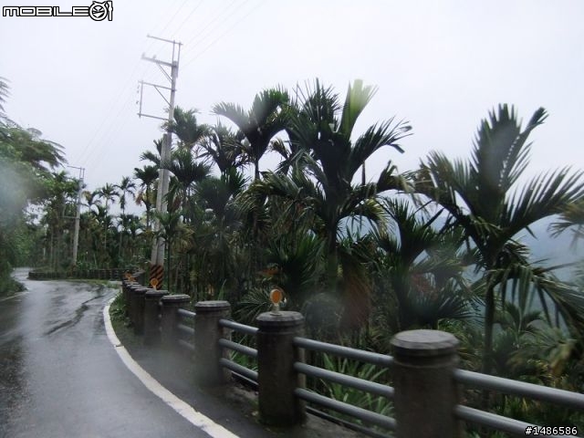 20100725嘉義阿里山公路公田路線探勘..算是成功啦!!