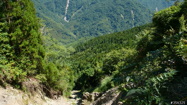 [遊記] 清石林道/霞喀羅古道夏日青爽騎