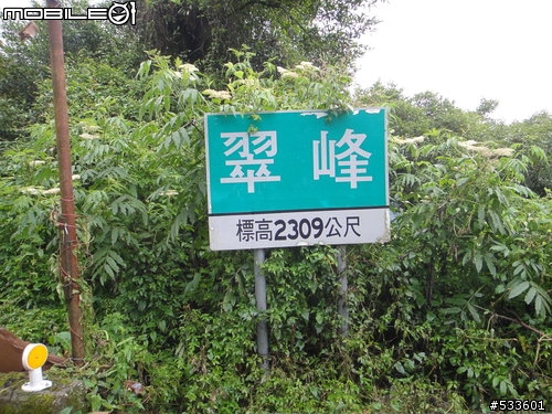2010/07/25 穿山甲征戰武嶺（要命的缺氧行程）