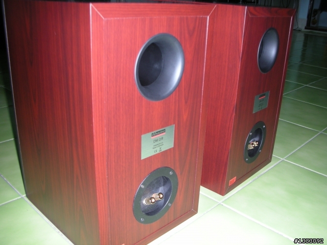 敗在 Dynaudio DM 2/8 上 (開箱)