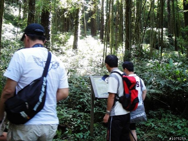 (照片)20100703奮起湖大凍山登山健行