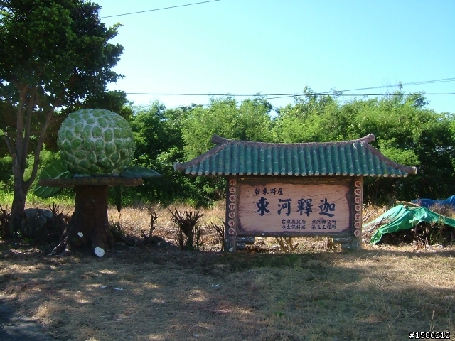 大激激與我環島去~8天逆時針海岸線~加花蓮太魯閣~武嶺