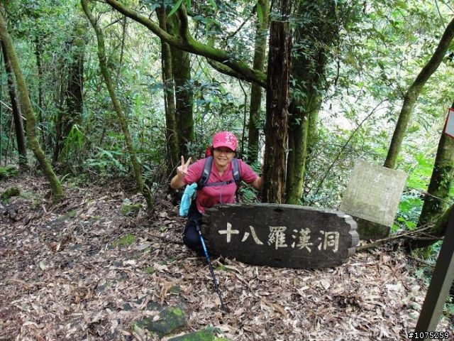 (照片)20100703奮起湖大凍山登山健行