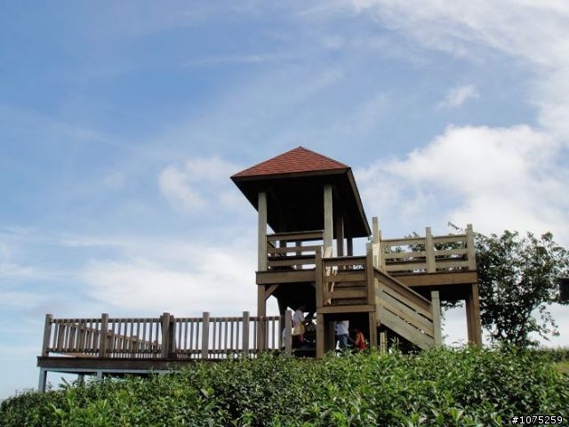 (照片)20100731後棟山賞景泡茶行