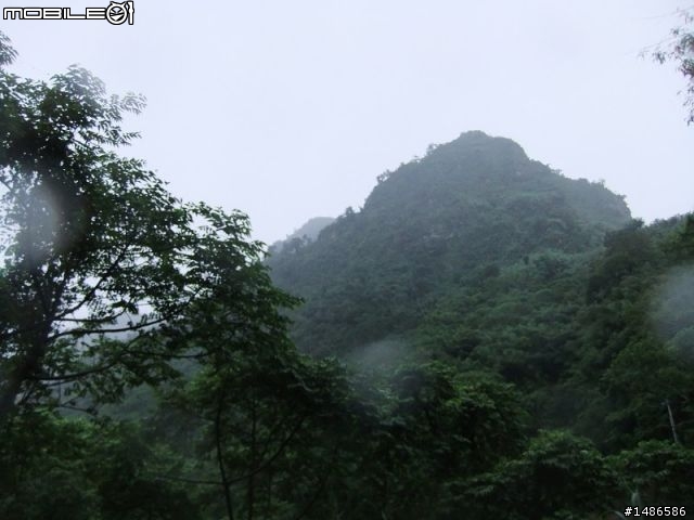 20100725嘉義阿里山公路公田路線探勘..算是成功啦!!
