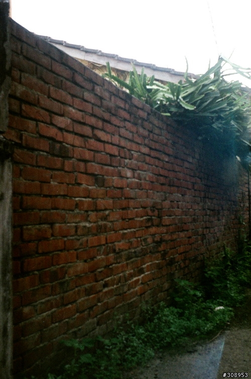 SMENA 8M 第四次拍的照片