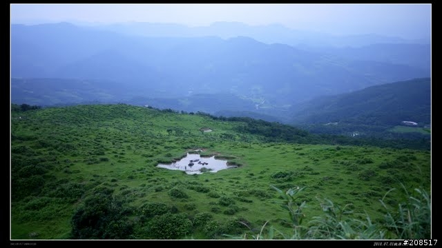 終於看到台灣的右肩：桃源谷步道越嶺 -草嶺古道