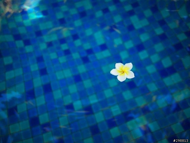 Oly+lumix in Sanya