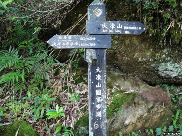 (照片)20100703奮起湖大凍山登山健行