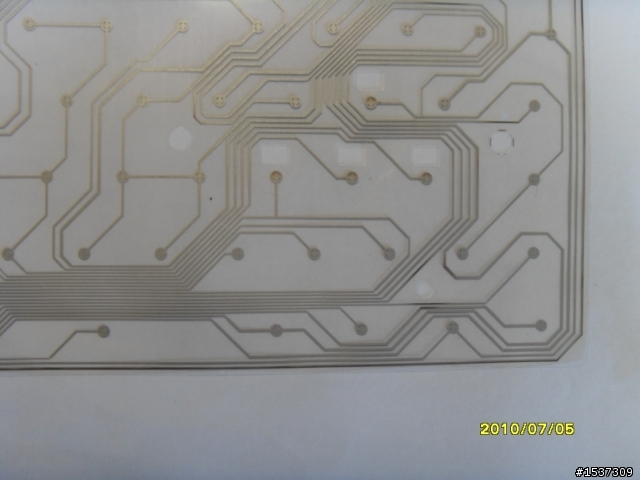 心血來潮~~~黑腹狼蛛  拆了