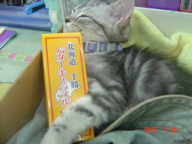 Lu Lu公主～睡美人