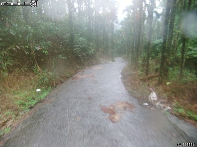 20100725嘉義阿里山公路公田路線探勘..算是成功啦!!