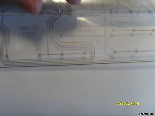 心血來潮~~~黑腹狼蛛  拆了