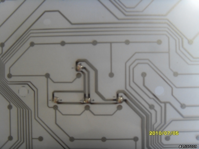 心血來潮~~~黑腹狼蛛  拆了