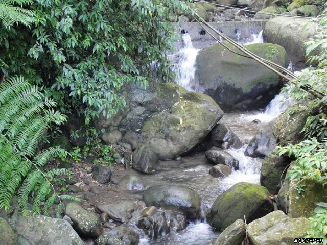 (照片)20100717石槌尾挑戰行