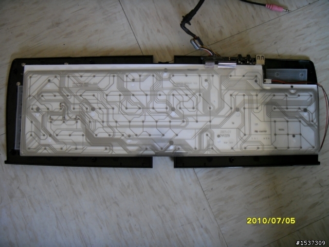 心血來潮~~~黑腹狼蛛  拆了