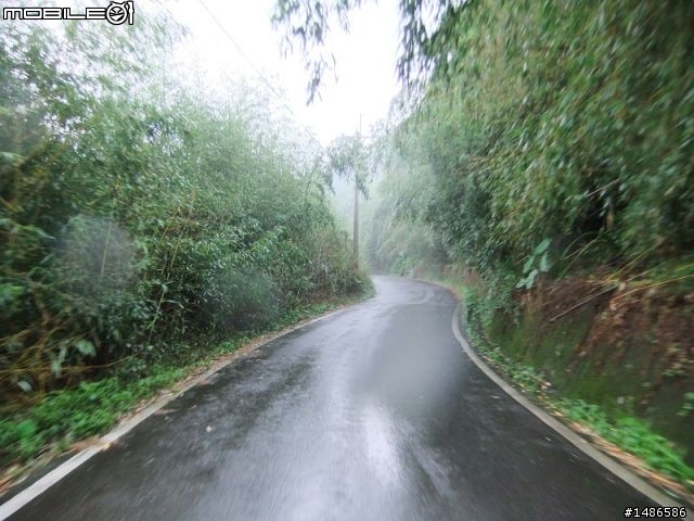 20100725嘉義阿里山公路公田路線探勘..算是成功啦!!