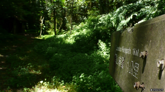 [遊記] 清石林道/霞喀羅古道夏日青爽騎