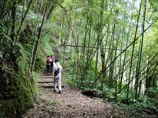 (照片)20100703奮起湖大凍山登山健行