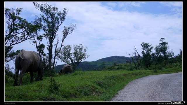 終於看到台灣的右肩：桃源谷步道越嶺 -草嶺古道