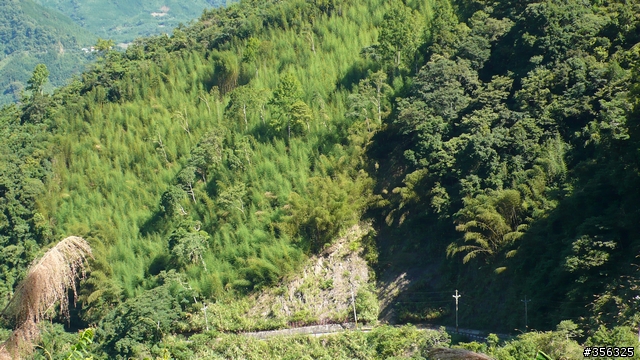 [遊記] 清石林道/霞喀羅古道夏日青爽騎