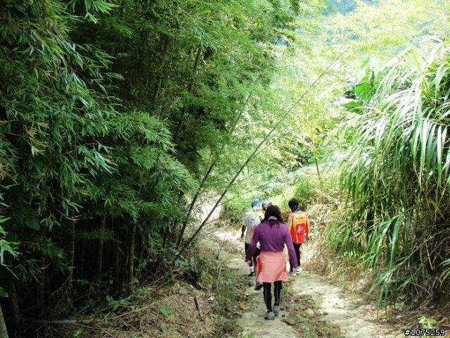 (照片)20100731後棟山賞景泡茶行