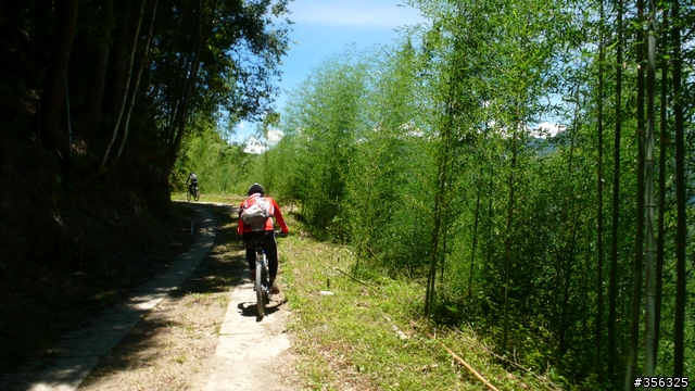 [遊記] 清石林道/霞喀羅古道夏日青爽騎