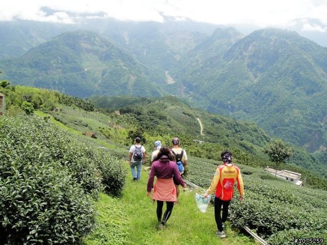 (照片)20100731後棟山賞景泡茶行