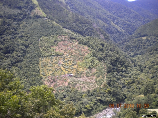 北橫+一豎武嶺兩日遊