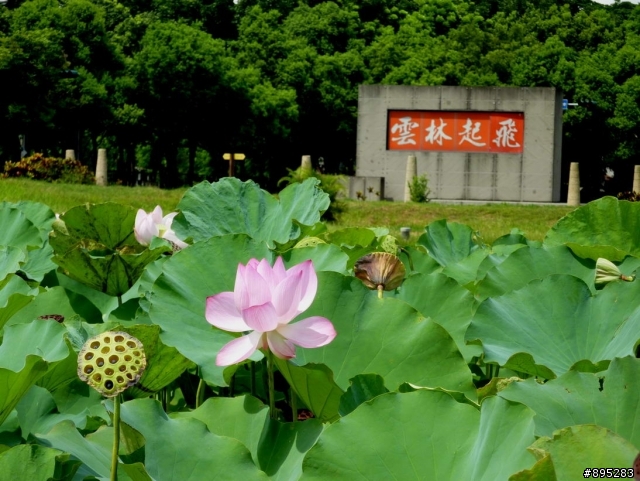 7月5~13不像環島的環島