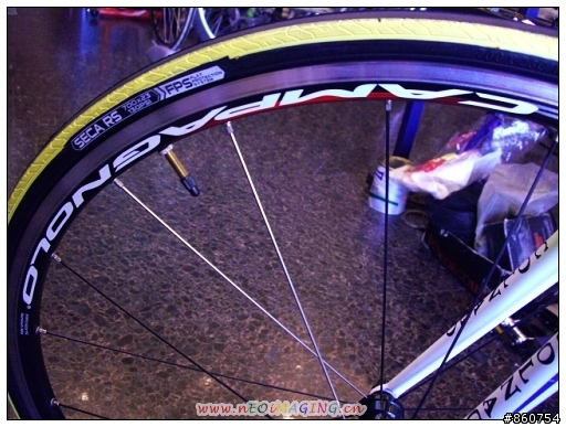 colnago master小人頭