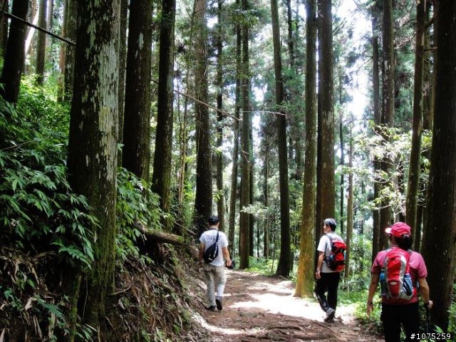 (照片)20100703奮起湖大凍山登山健行