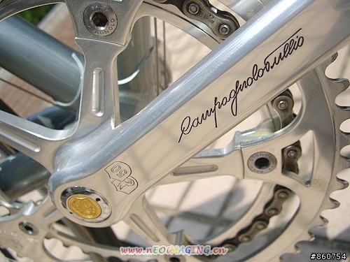 de rosa +COMPY50週年套件