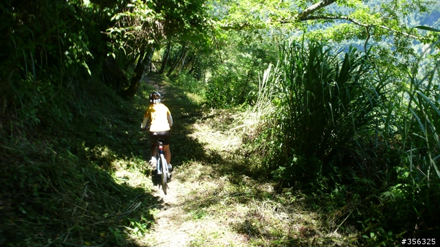 [遊記] 清石林道/霞喀羅古道夏日青爽騎