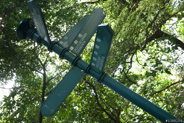 [問題]使用 Lightroom 3 開 gf1 rw2檔 顏色自動變了