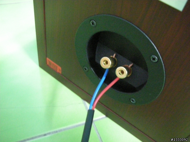 敗在 Dynaudio DM 2/8 上 (開箱)