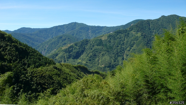 [遊記] 清石林道/霞喀羅古道夏日青爽騎