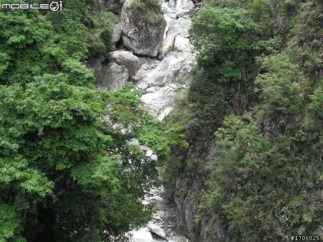 別想阻擋我，我就是要上"武嶺"(槍客＆[快雪]東進武嶺記實)